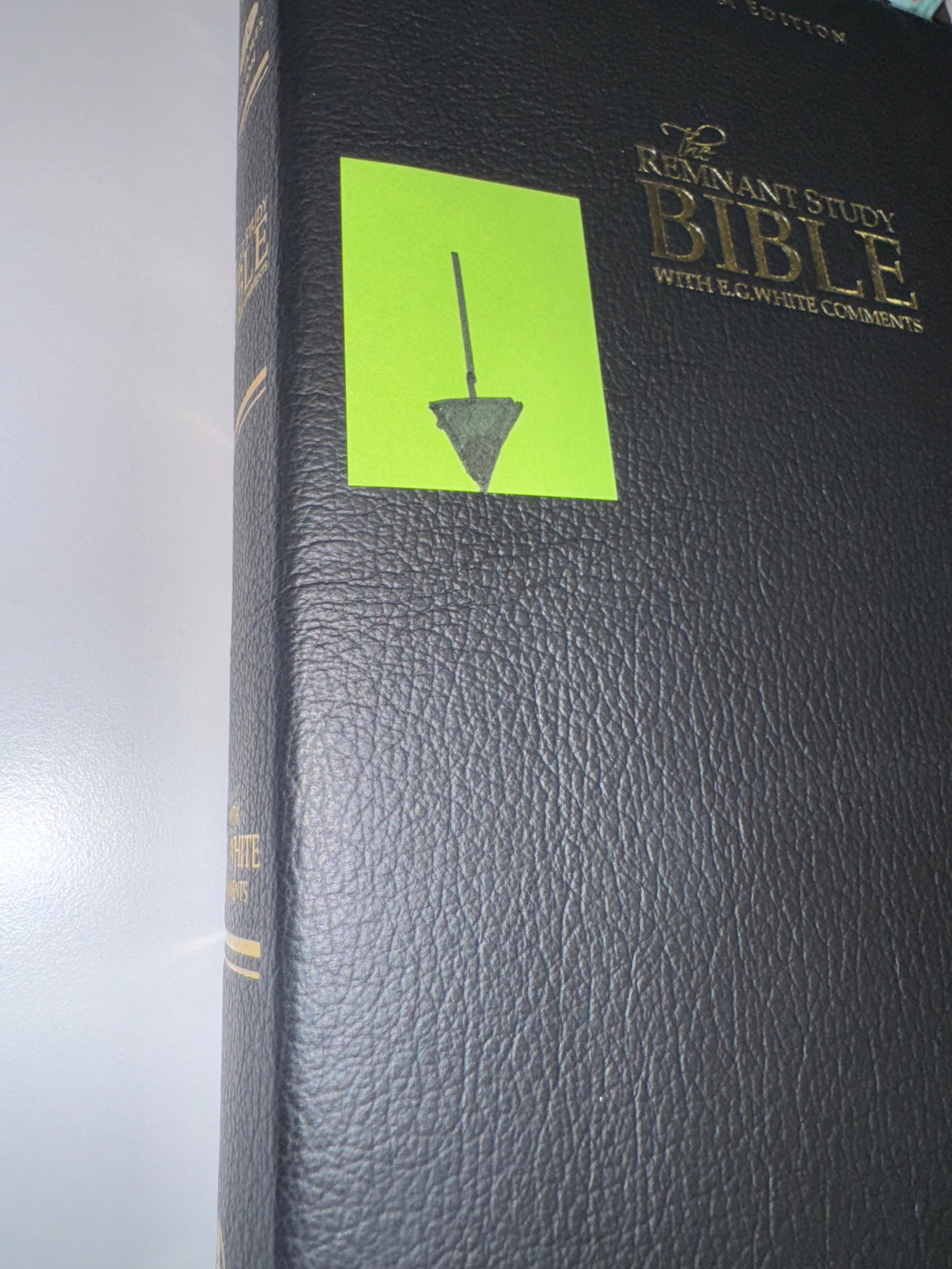 ONE-OF-A-KIND KJV Platinum Remnant Study Bible (Black Leather)