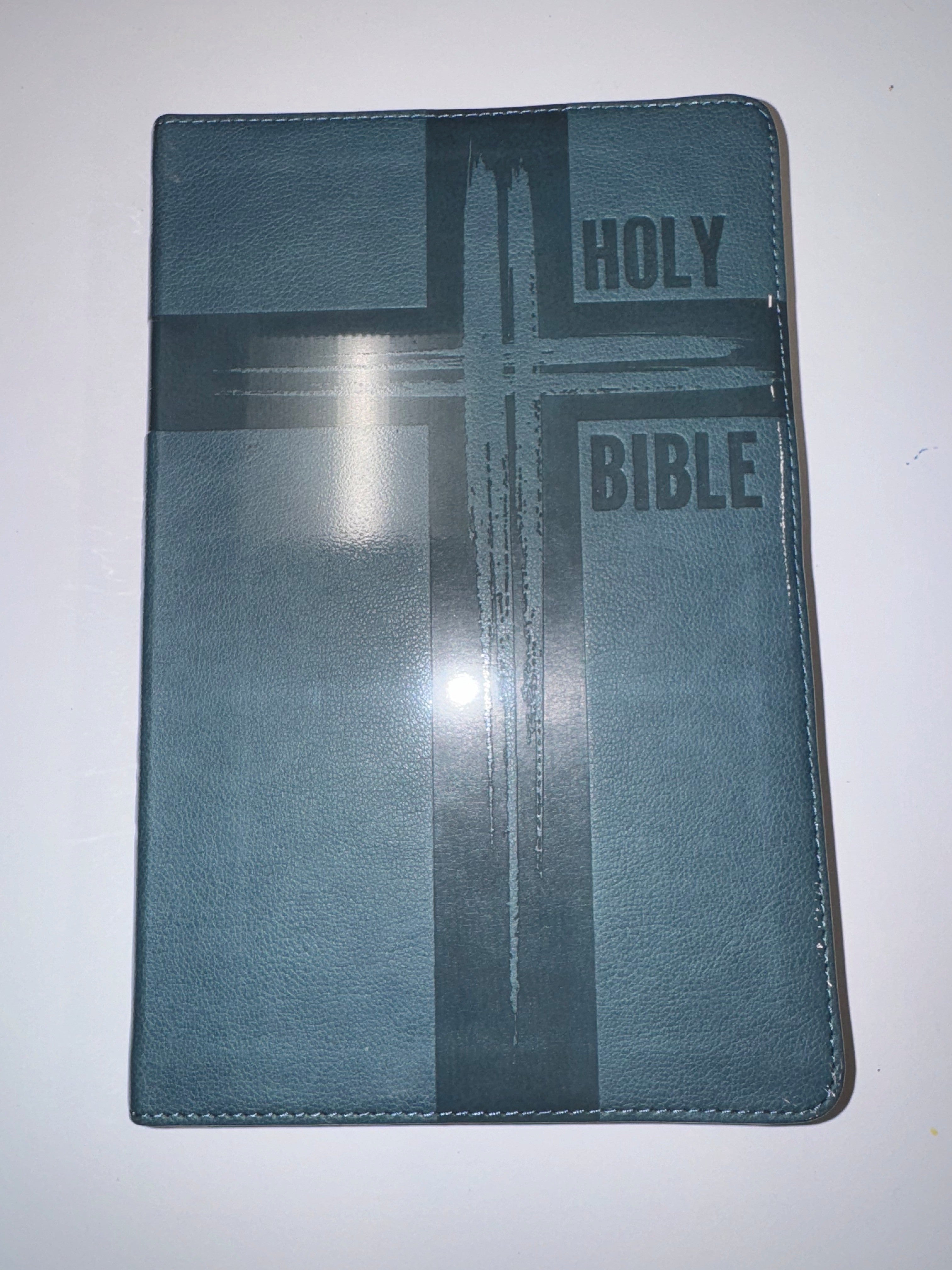 ONE-OF-A-KIND Reina-Valera 1995 Holy Bible by Safeliz (Spanish)