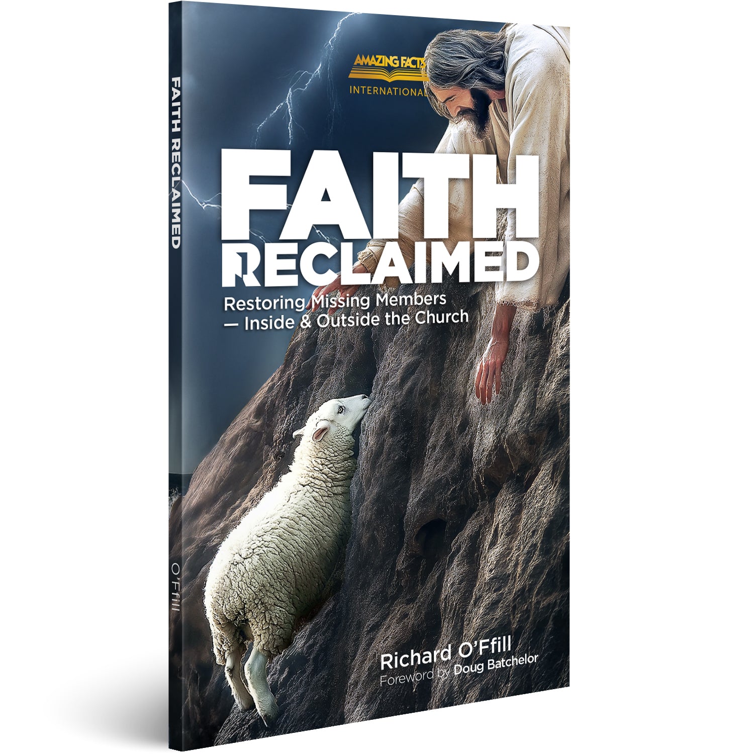 Faith Reclaimed: Restoring Missing Members - Inside & Outside the Church by Richard O'Ffill