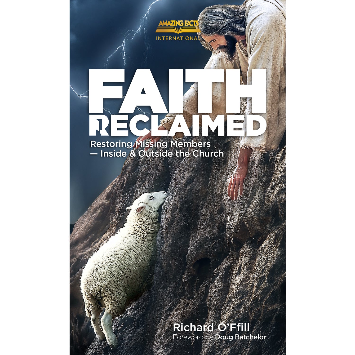 Faith Reclaimed: Restoring Missing Members - Inside & Outside the Church by Richard O'Ffill