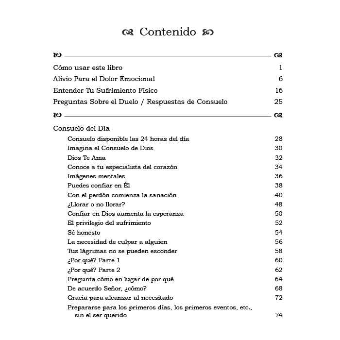 Consuelo para el Dia (Comfort for the Day, Living Through the Seasons of Grief) Spanish by Steve & Karen Nicola