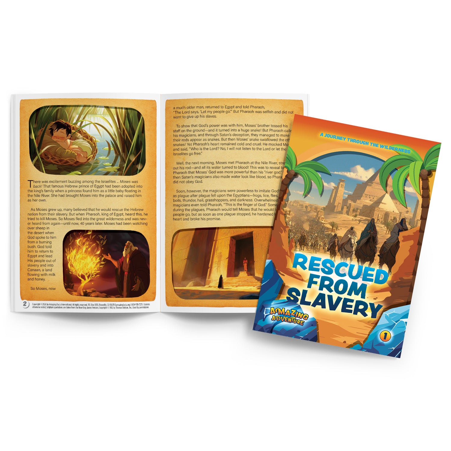 Amazing Wilderness Rescue Bible Lesson Set