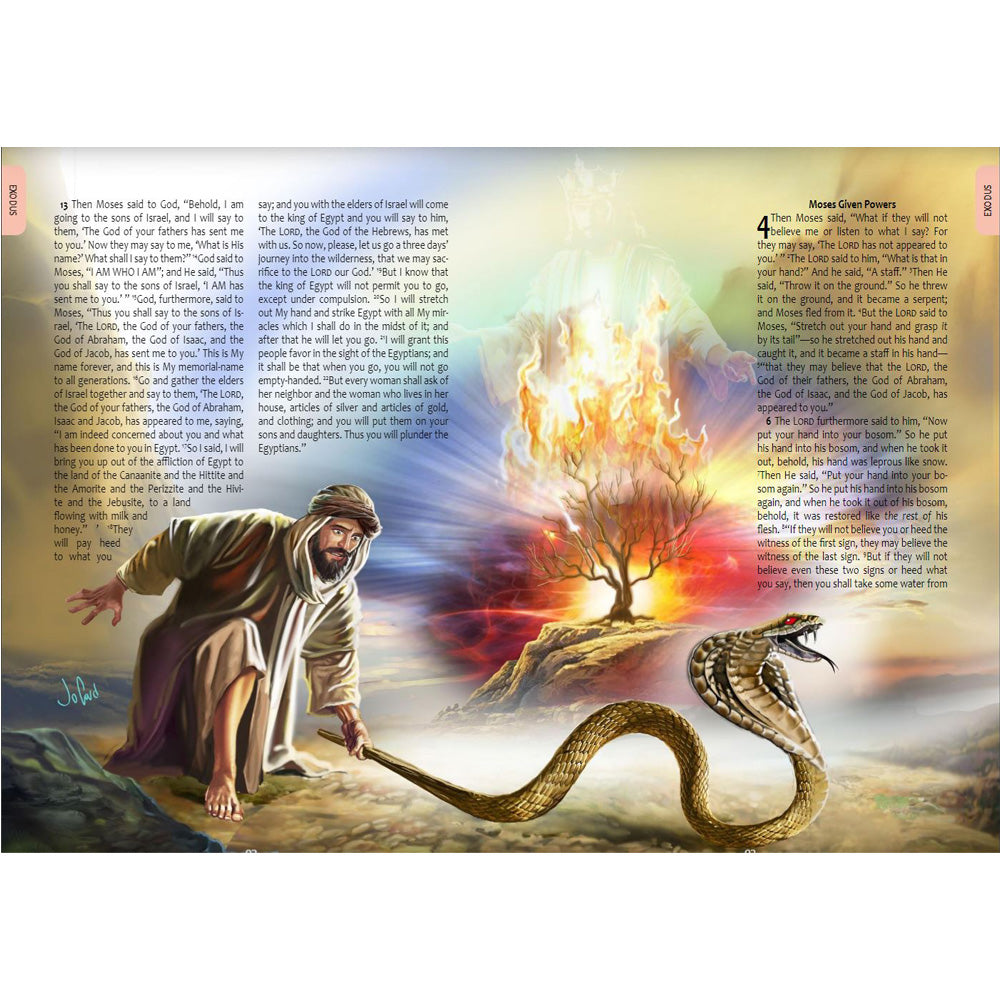 NASB Amazing Illustrated Bible (Softcover) by Editorial Safeliz